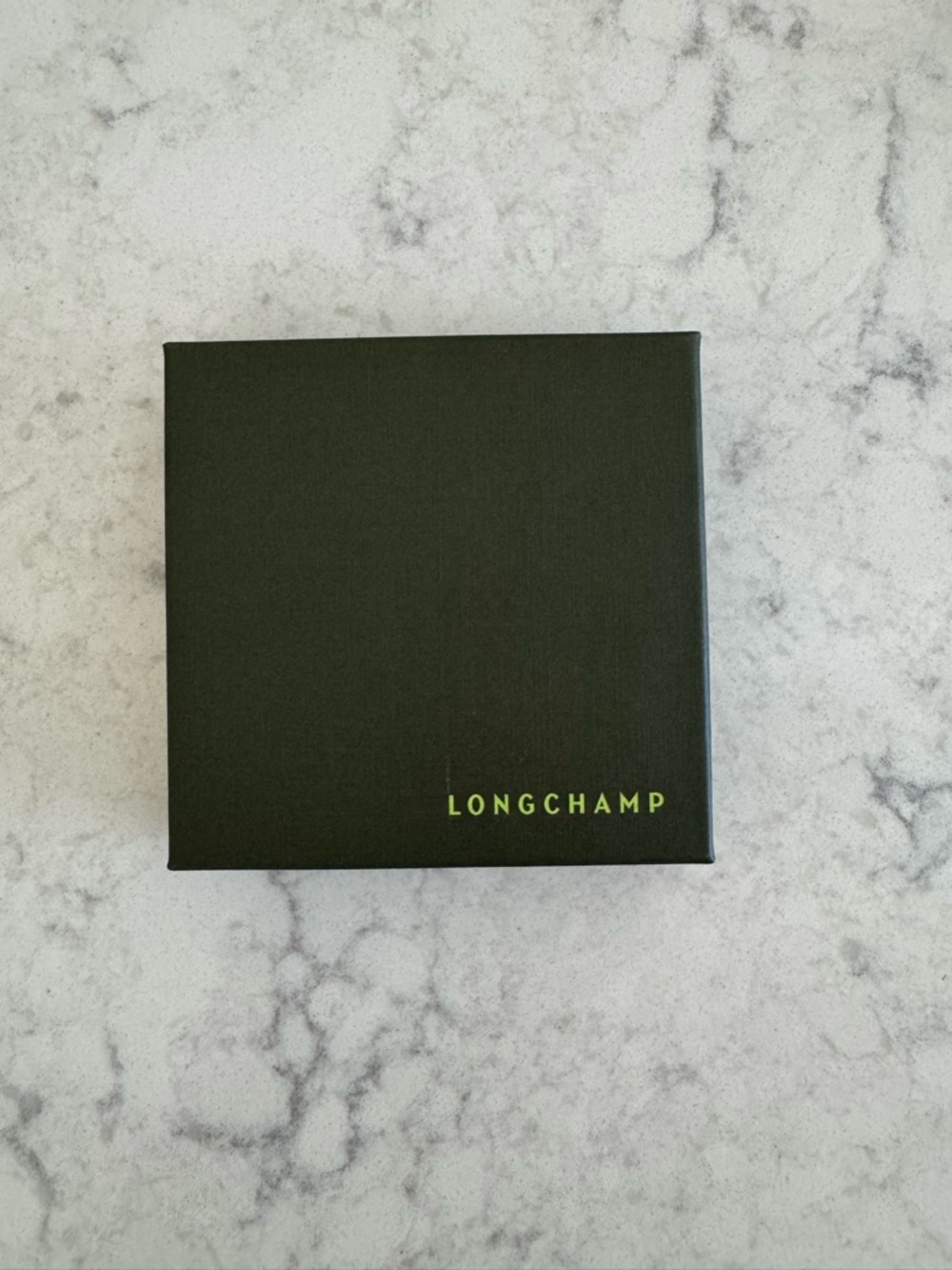 Longchamp Green Gift Box with Lime Logo